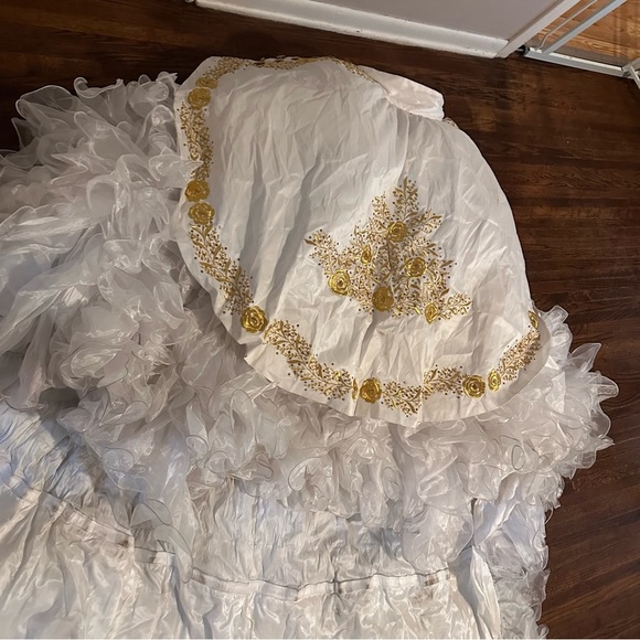 Quinceañera Adán Terriquez Additional Pictures Dress & Train Detail - Picture 7 of 17